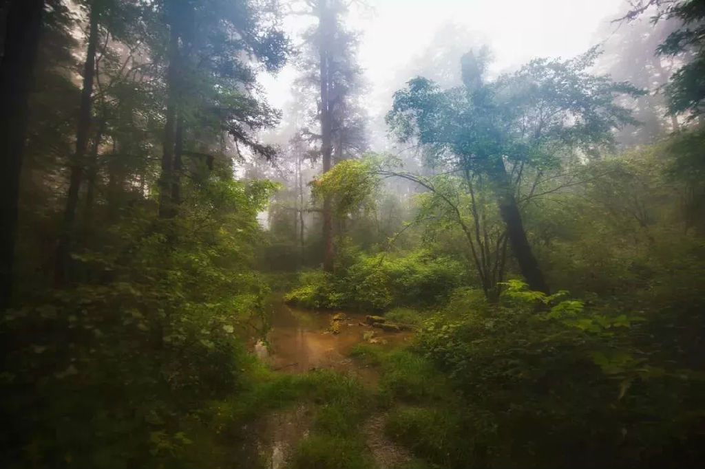 640 (1).webp (6).jpg