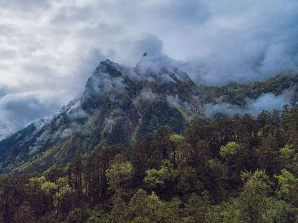 640 (1).webp (4).jpg