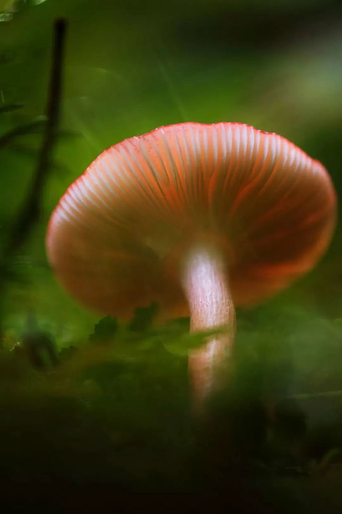 640 (1).webp (7).jpg