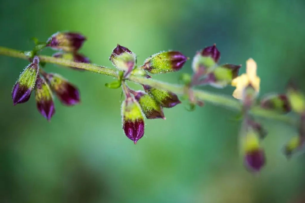 640 (1).webp (10).jpg