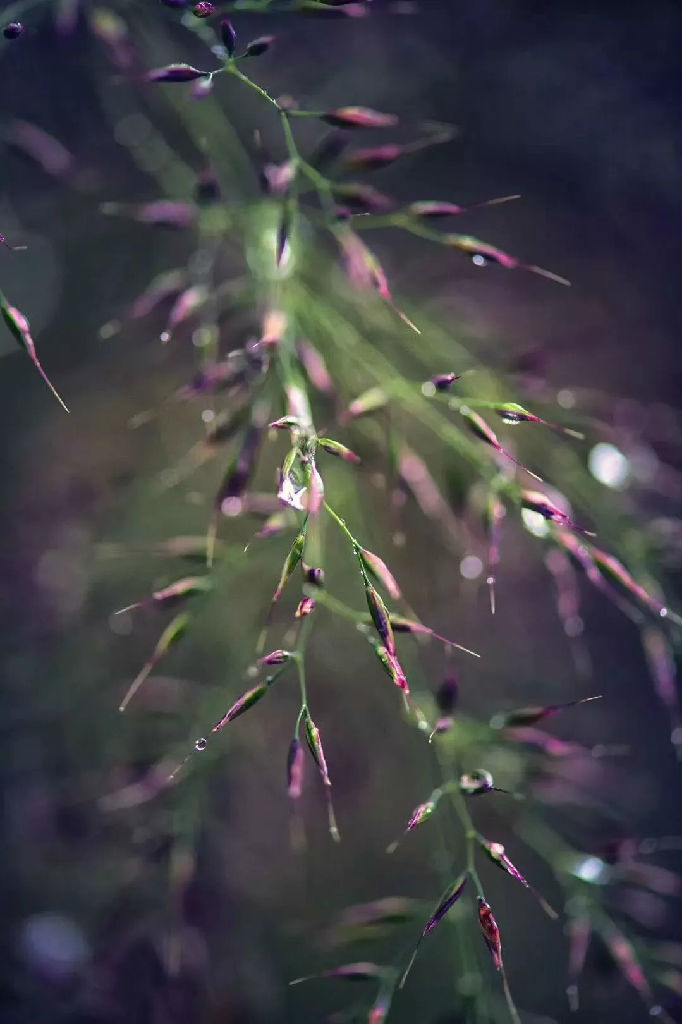 640 (1).webp (8).jpg