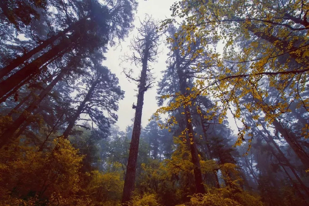 640 (1).webp (5).jpg