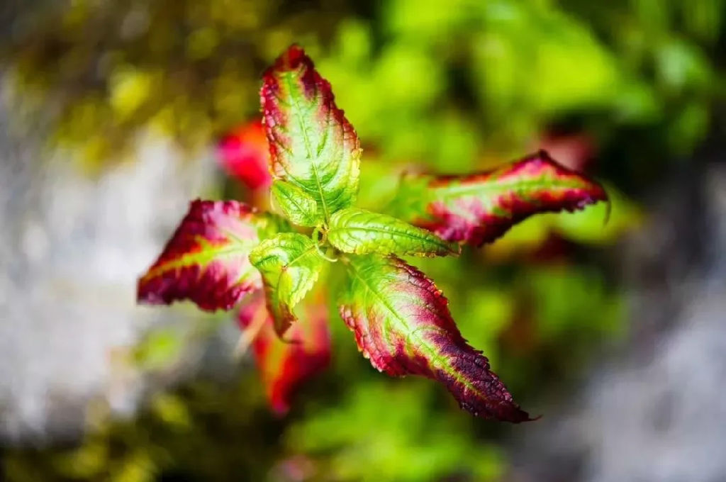 640 (1).webp (9).jpg